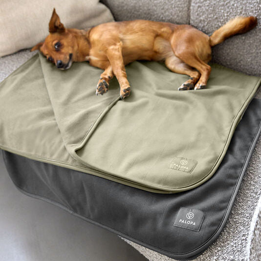 Palopa-Hunde-Schmutzmatte-Benti-Olive-Grün-Anthrazit-Mood2