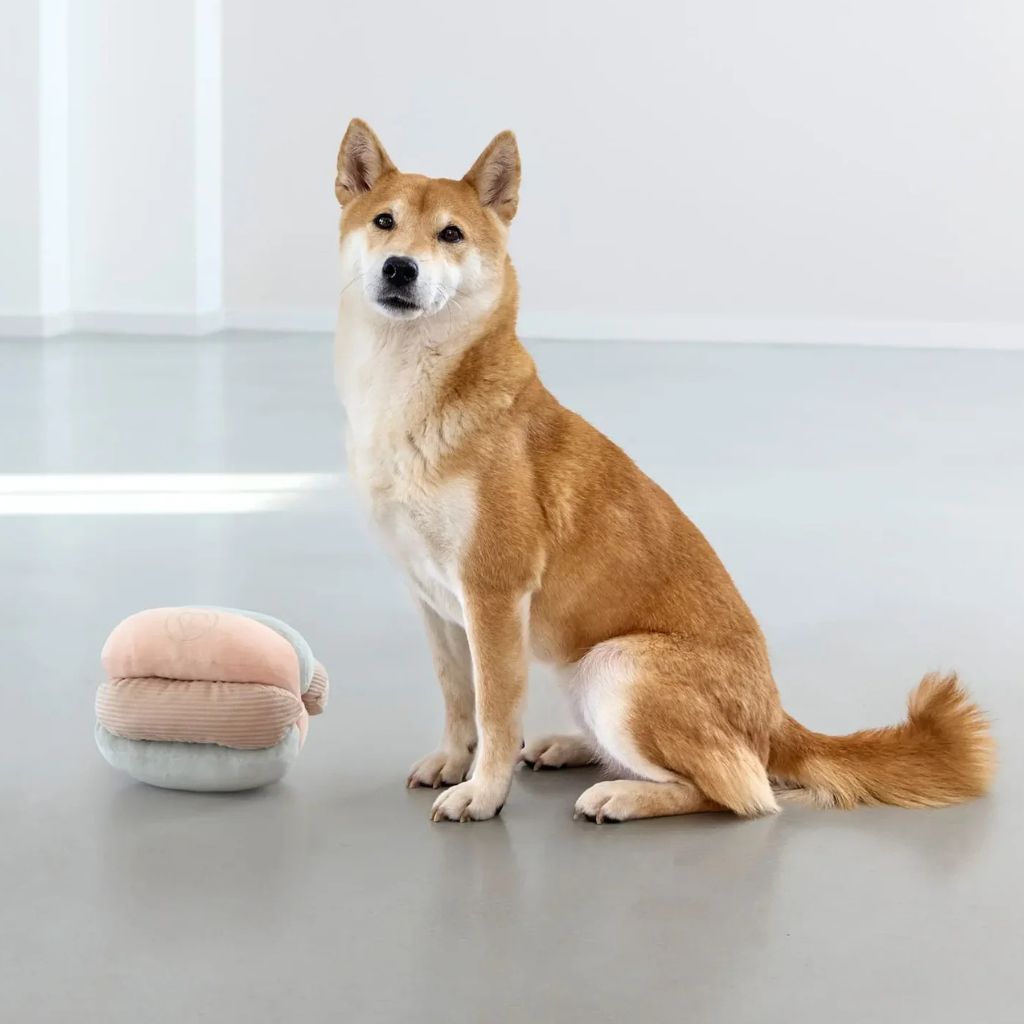 Palopa-Hundespielzeug-Brino-Hund2