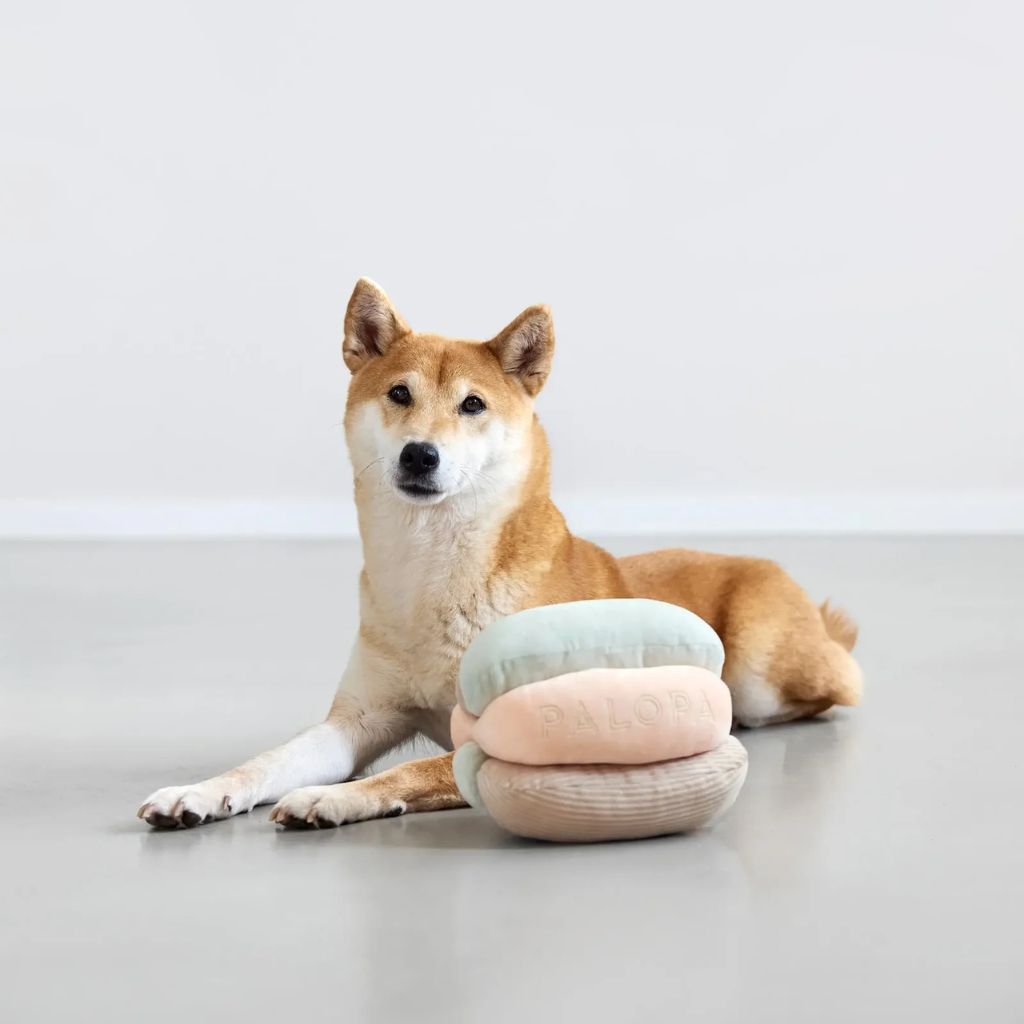 Palopa-Hundespielzeug-Brino-Hund3