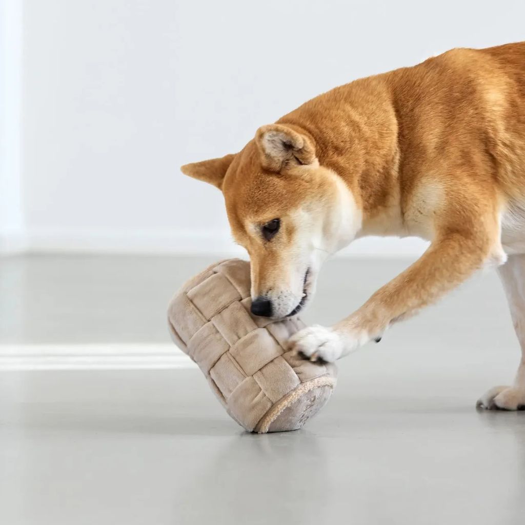 Palopa-Hundespielzeug-Kalpi-Hund-2