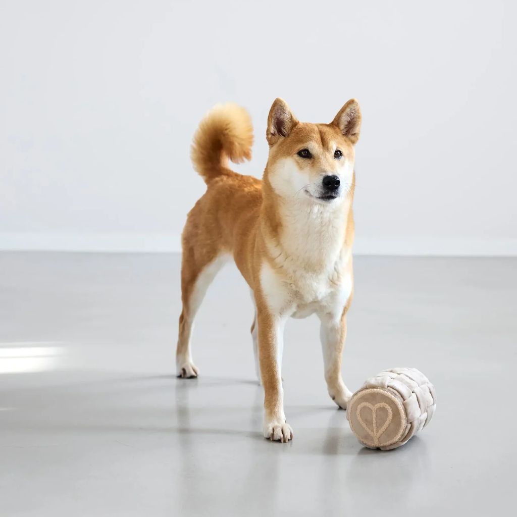 Palopa-Hundespielzeug-Kalpi-Hund-3