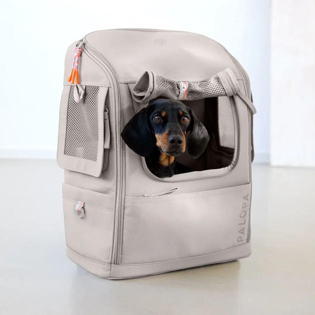 Palopa-Hundetragerucksack-Kari-Taupe-Mood2