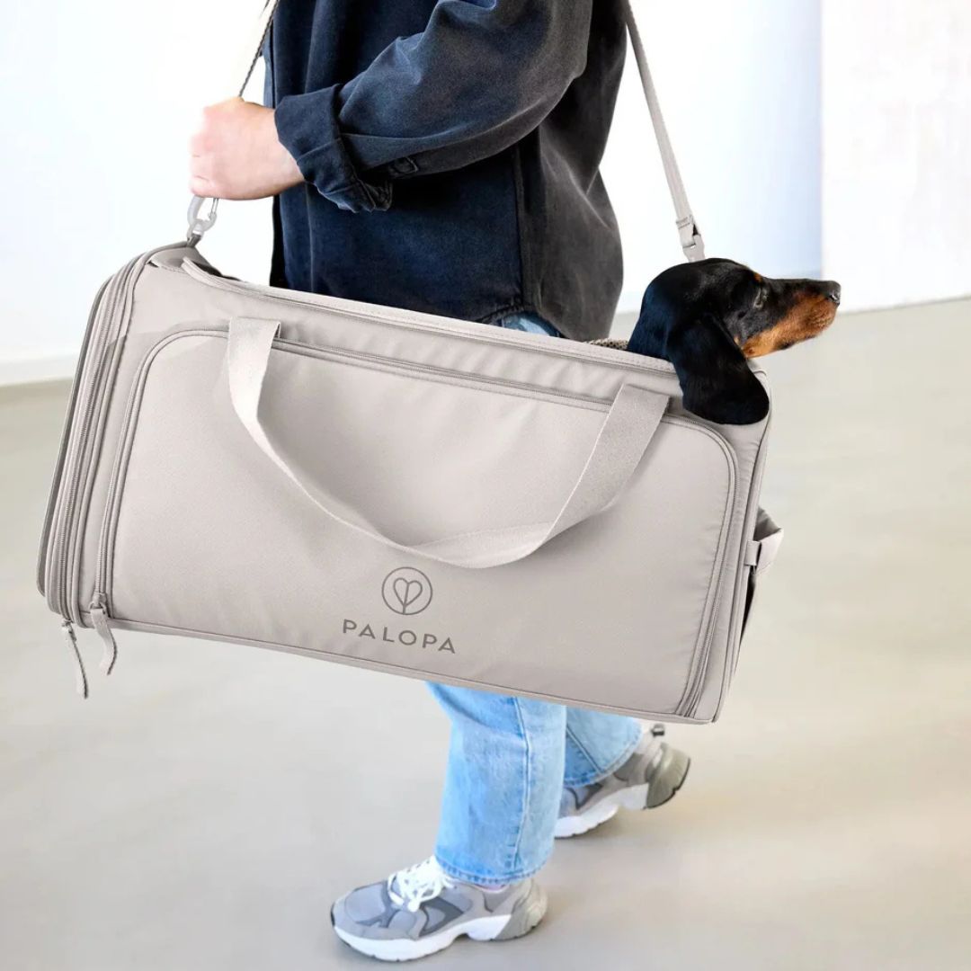 Palopa-Hundetragetasche-Benno-Taupe-Hund2