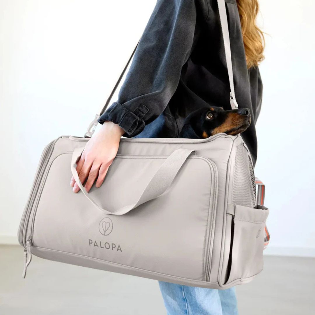 Palopa-Hundetragetasche-Benno-Taupe-Hund3