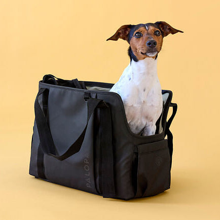 Palopa-Hundetragetasche-Weda-Black-Mood