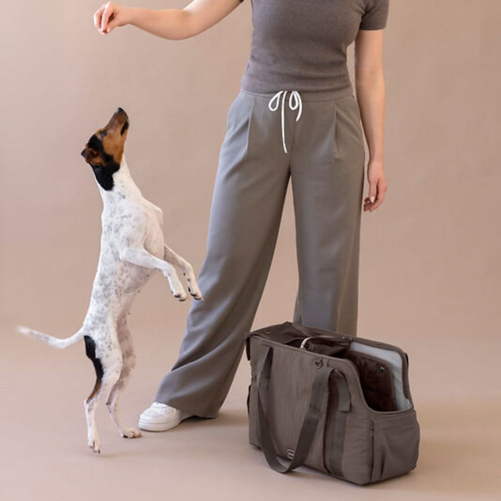 Palopa-Hundetragetasche-Weda-Crinkled-Chocolate-Mood