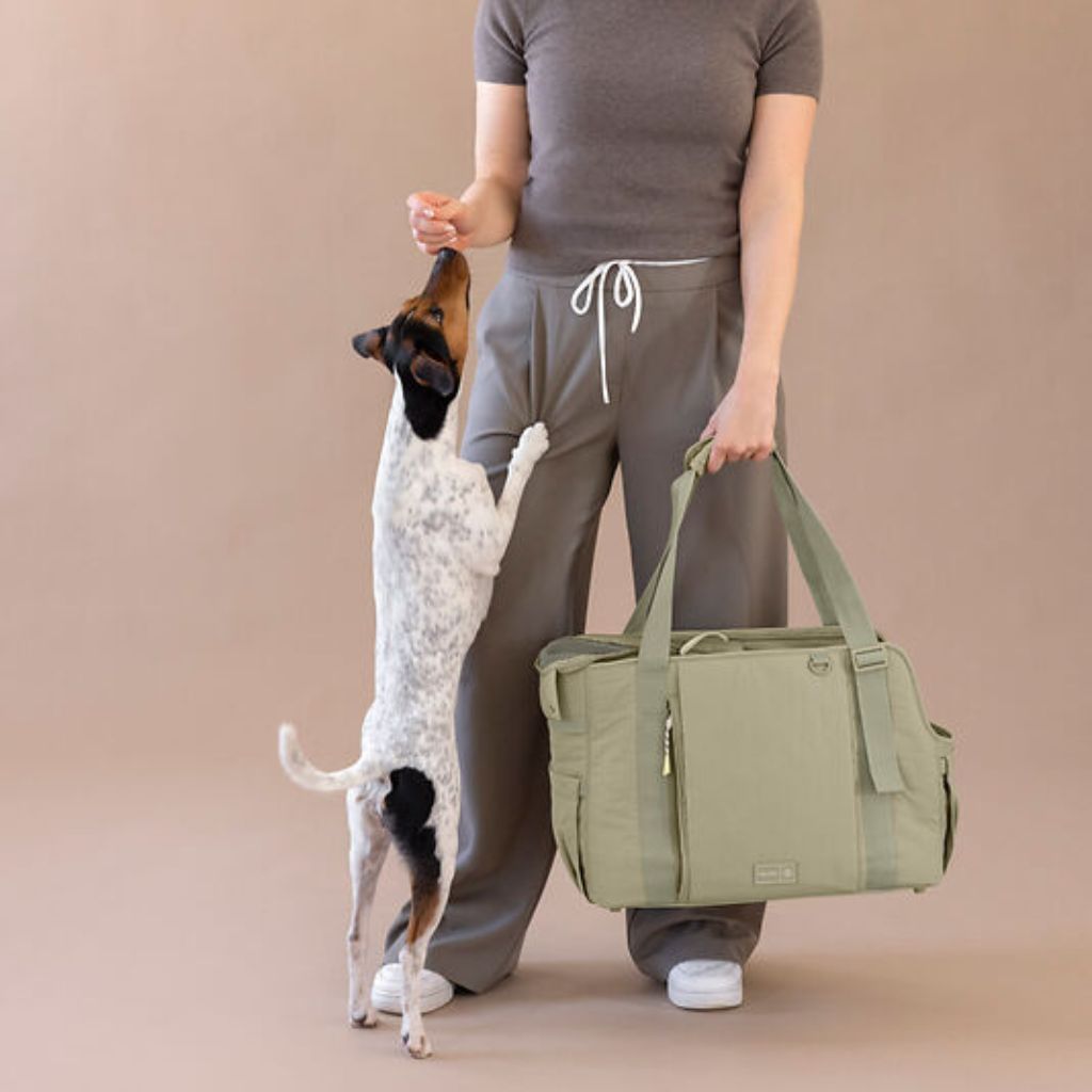 Palopa-Hundetragetasche-Weda-Crinkled-Pale-Olive-Mood2