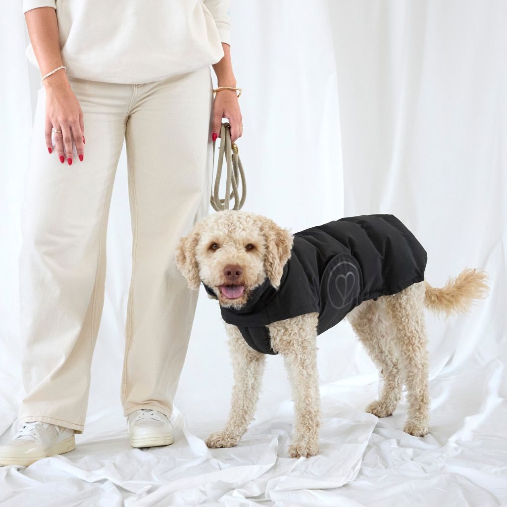 Palopa-Hundewintermantel-Nolia-Short-Black-Hund-3