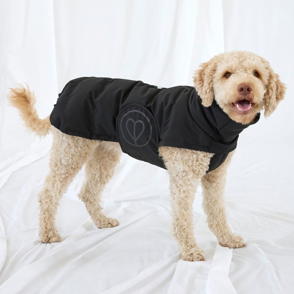 Palopa-Hundewintermantel-Nolia-Short-Black-Hund-5