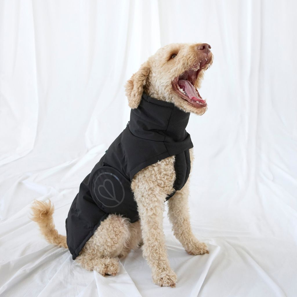 Palopa-Hundewintermantel-Nolia-Short-Black-Hund