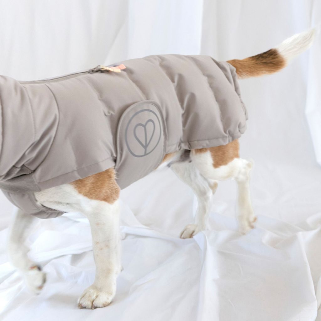 Palopa-Hundewintermantel-Nolia-Taupe-Hund-3