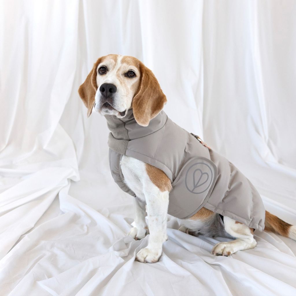 Palopa-Hundewintermantel-Nolia-Taupe-Hund