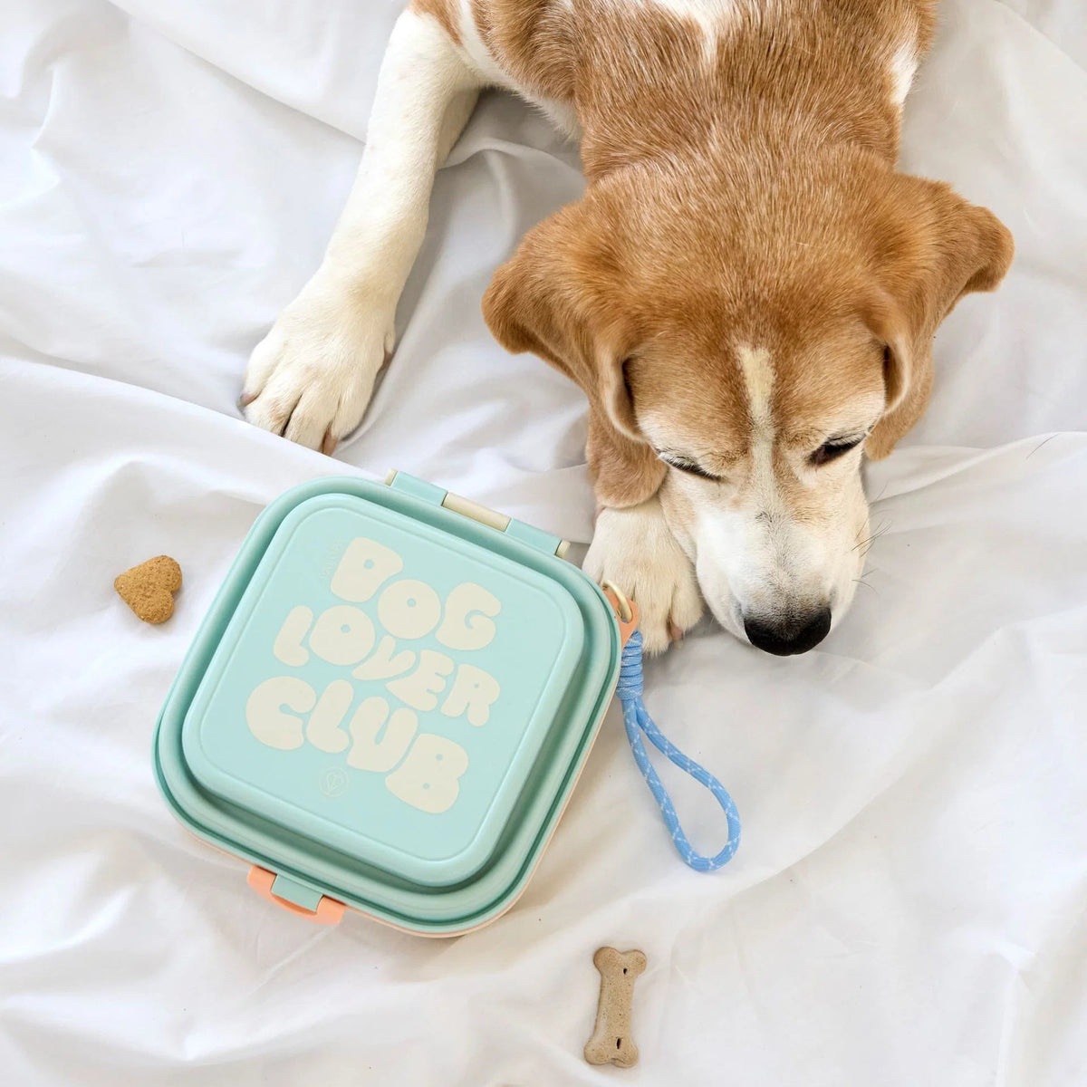Palopa-Snack-Box-Dobo-M-Hund