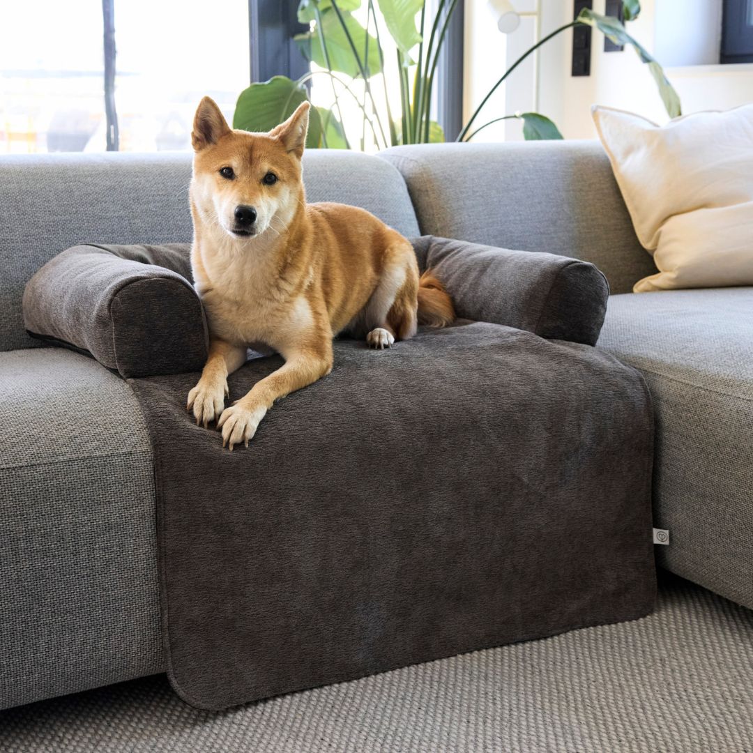 Palopa-Sofa-Schutzmatte-Rika-Anthracit-Hund