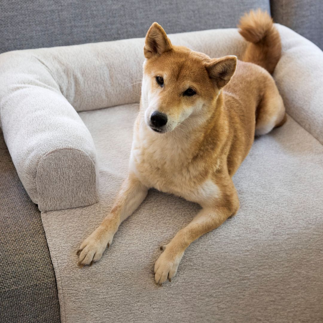 Palopa-Sofa-Schutzmatte-Rika-Beige-Hund2