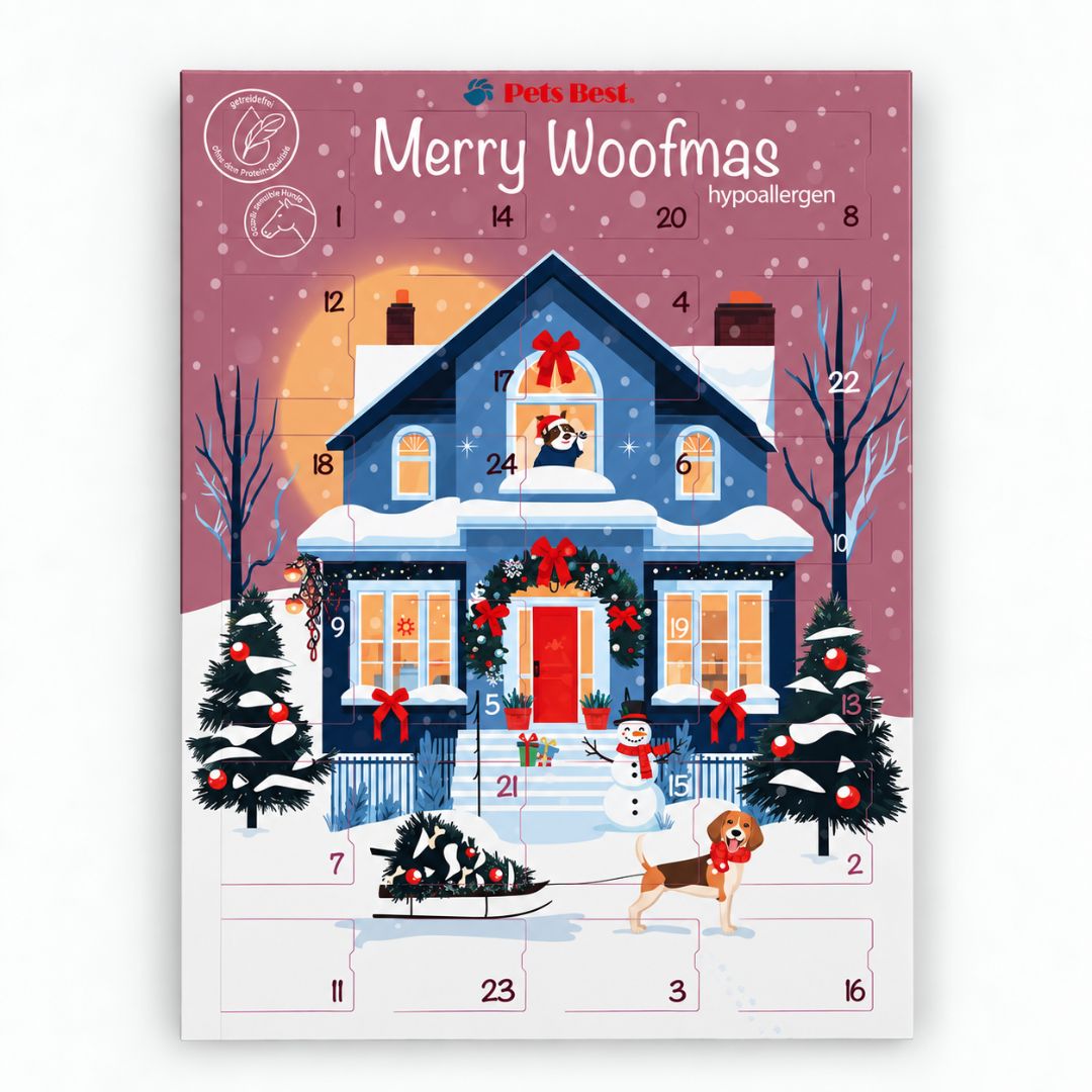 Pets-Best-Hundeadventskalender-Hypoallergen-Sowmans-Christmas-Morning