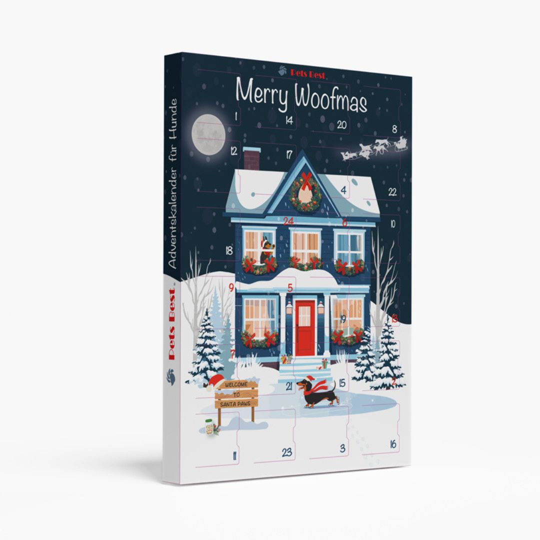 PetsBest-Hundeadventskalender-Santas-Moonlight-Skates-2