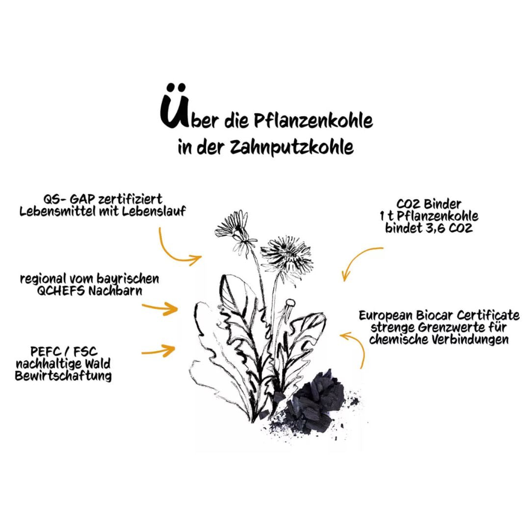 Qchefs-Zahnputzkohle-Info