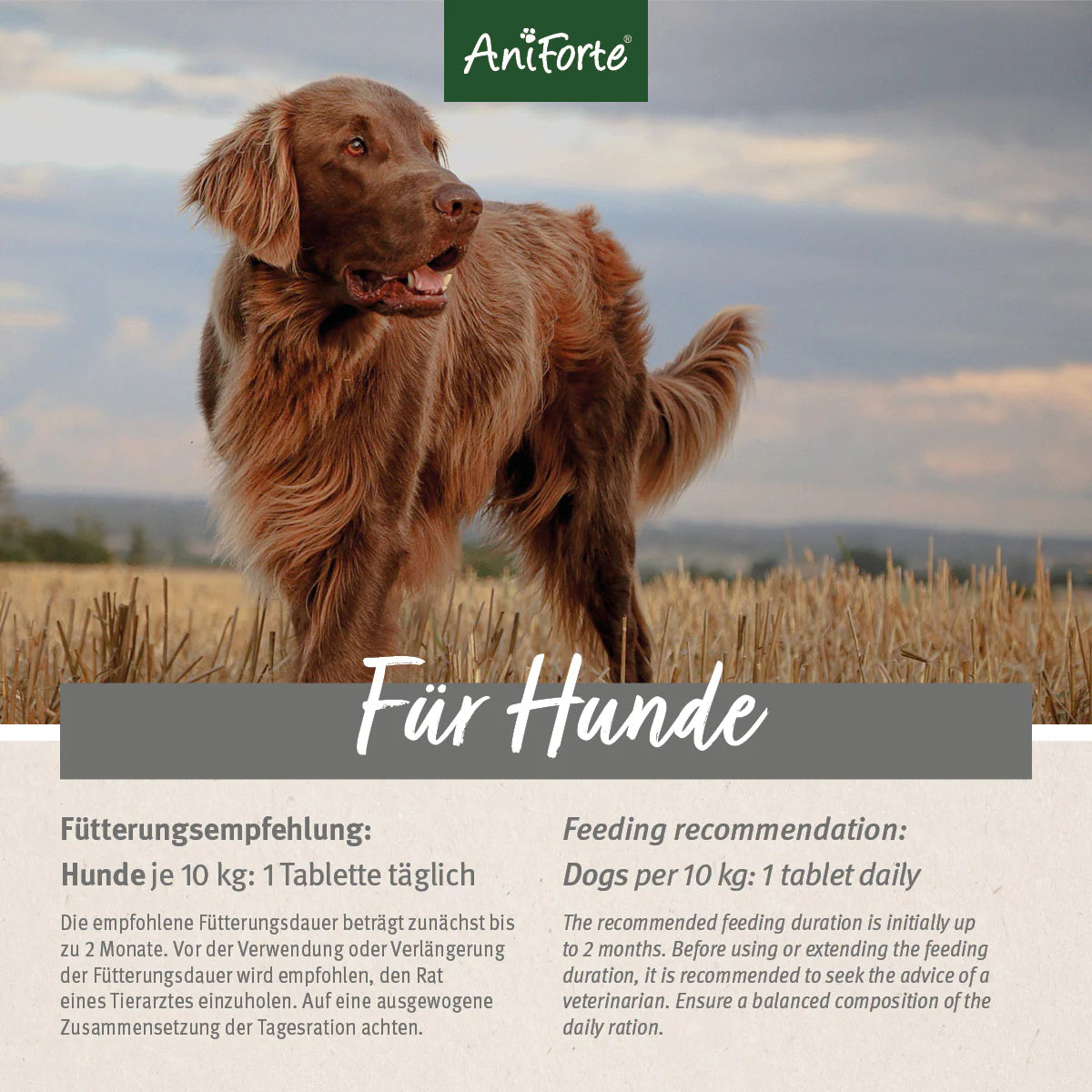 Aniforte-Plus-Fell-Haut-Fütterungsempfehlung