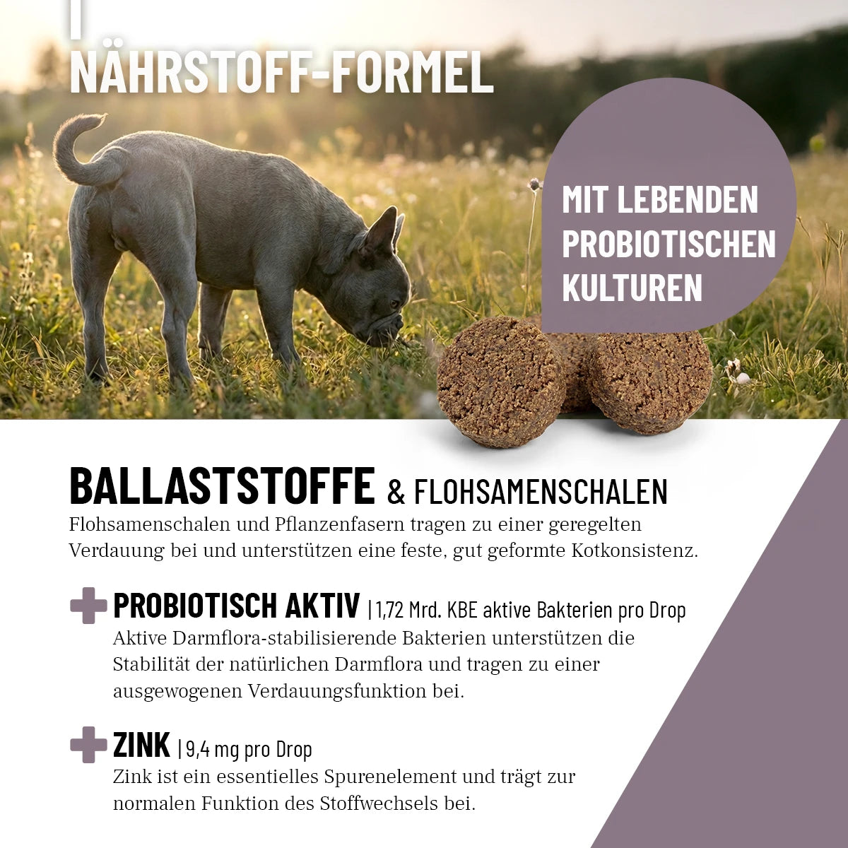 ReaVET-Analdrüsen-Drops-3