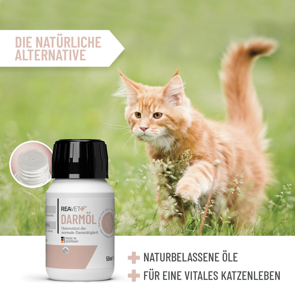 ReaVET-Darmöl-Katzen-Mood