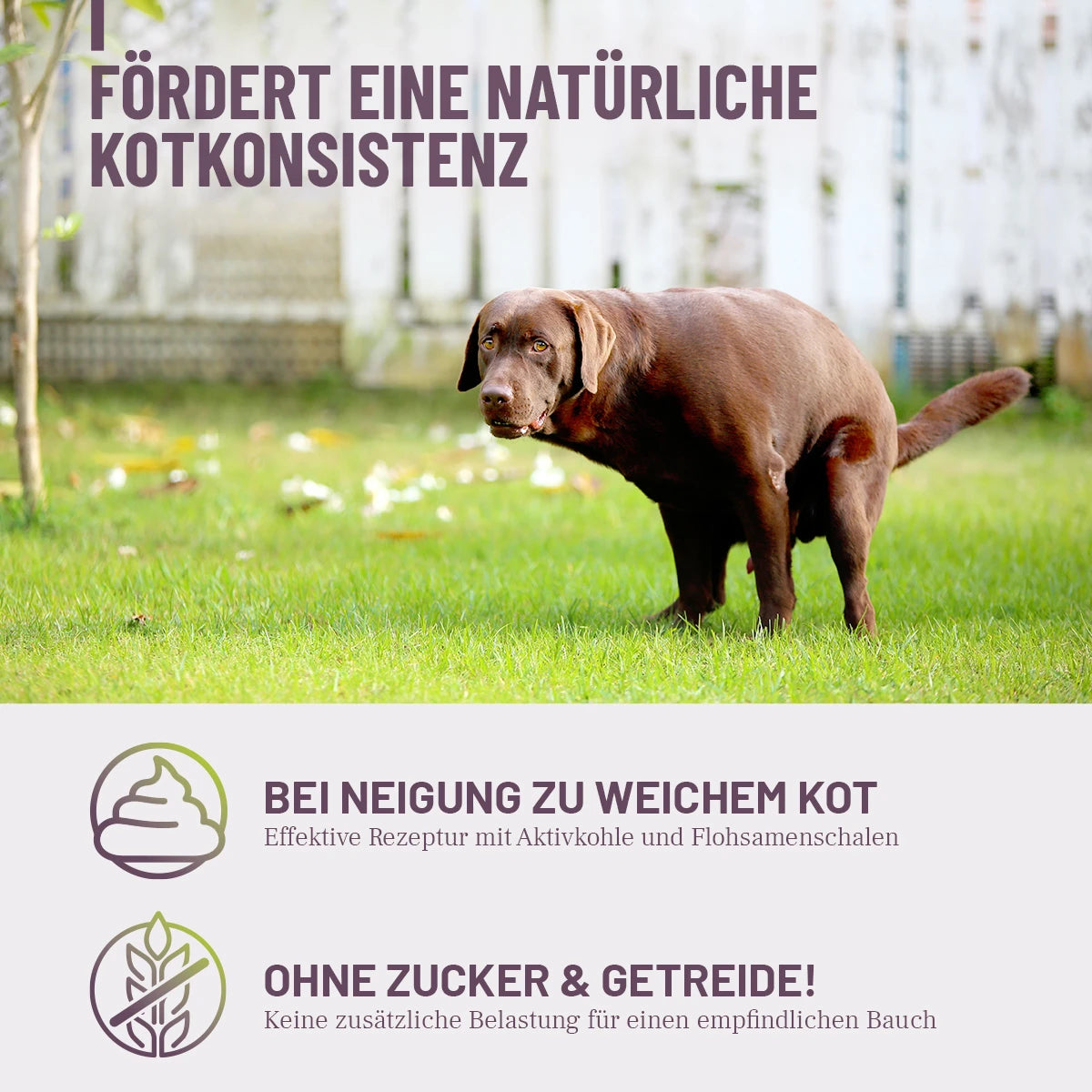 ReaVET-Feste-Häufchen-Drops-2