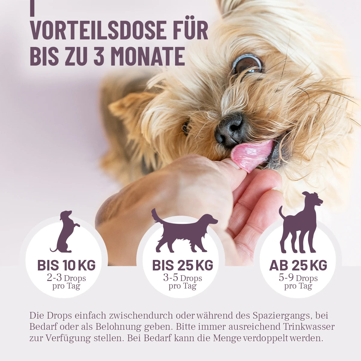 ReaVET-Feste-Häufchen-Drops-3