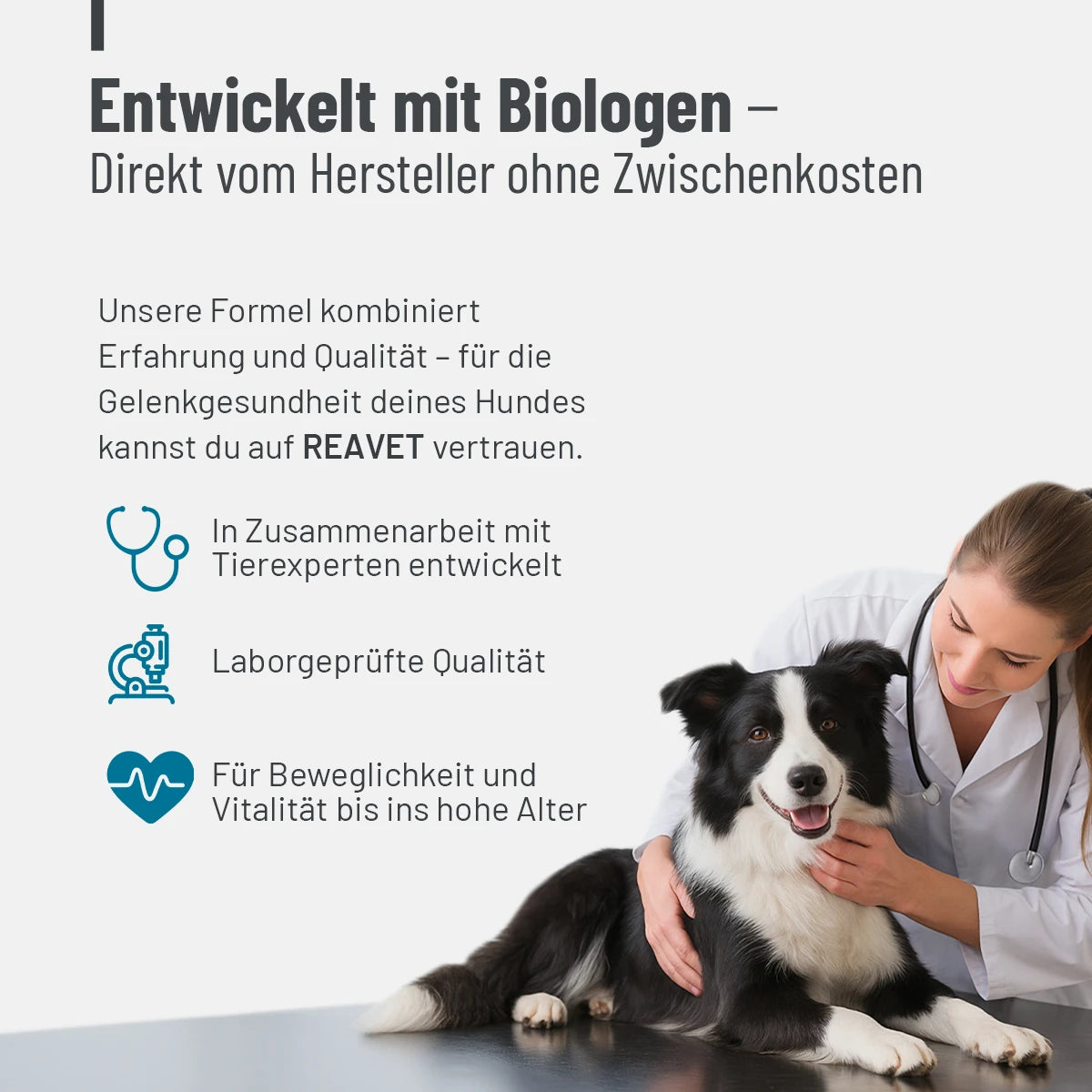 ReaVET-Gelenktabletten-Forte-Info