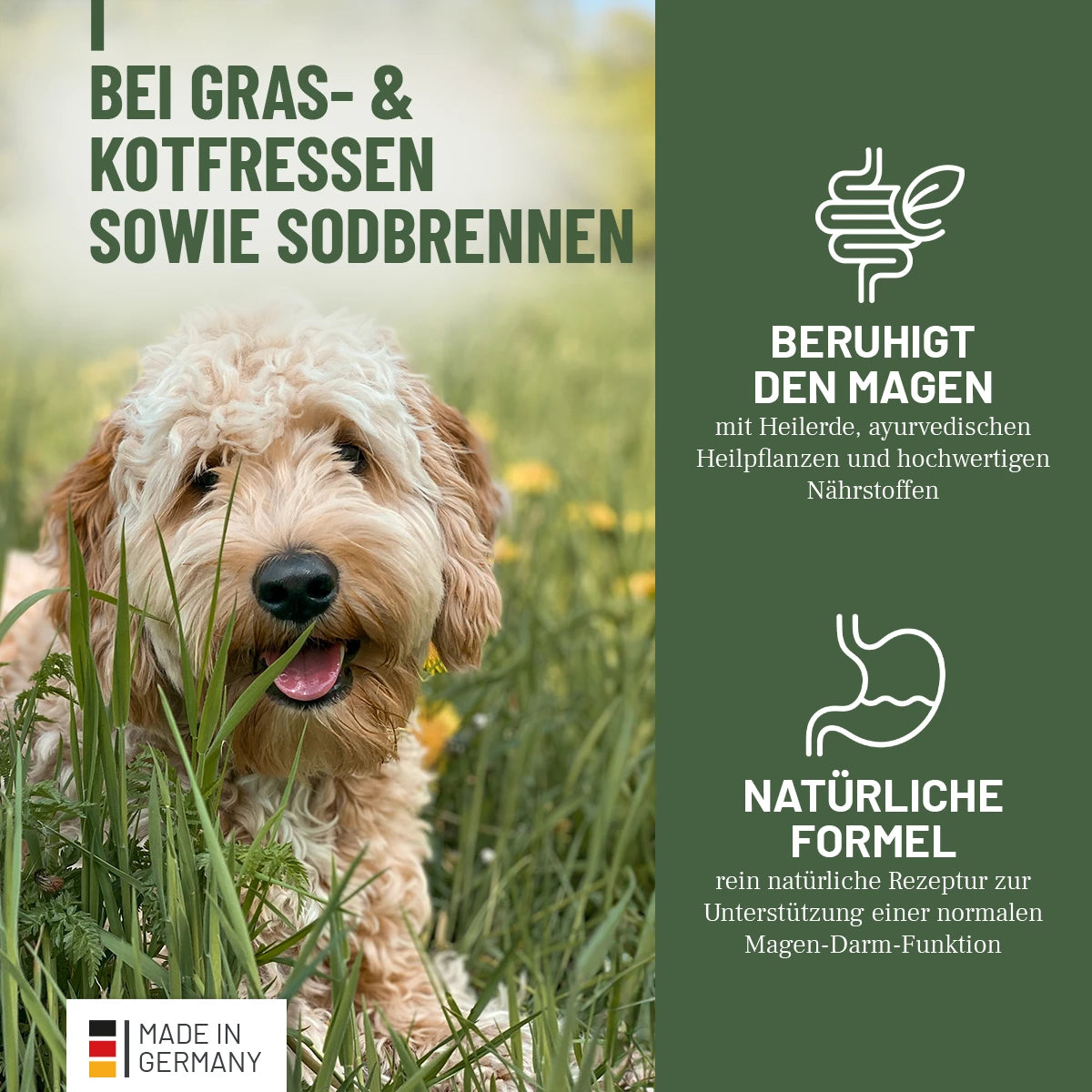 ReaVET-Gras-Kotfresser-Drops-2