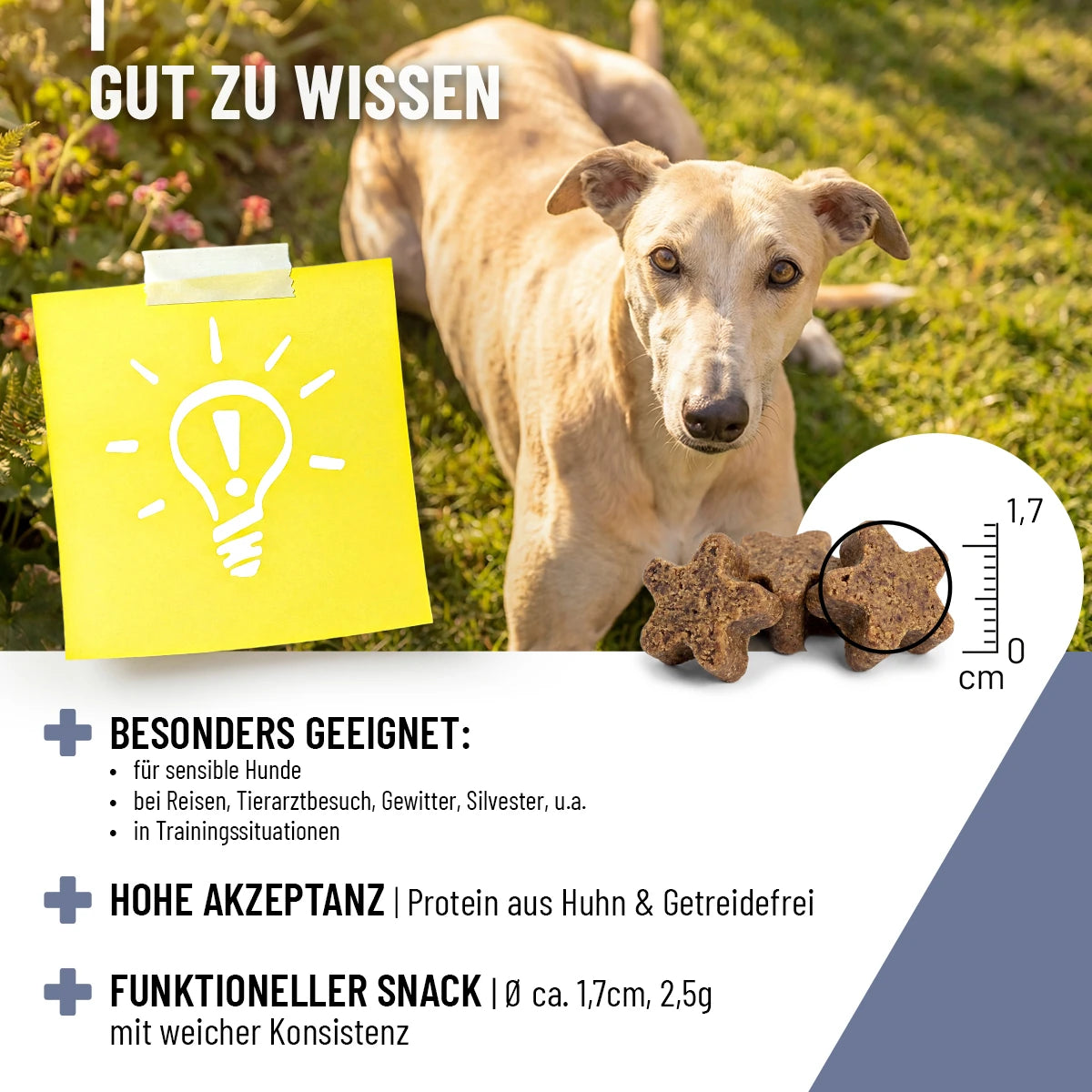 ReaVET-Relax-Komplex-Drops-6