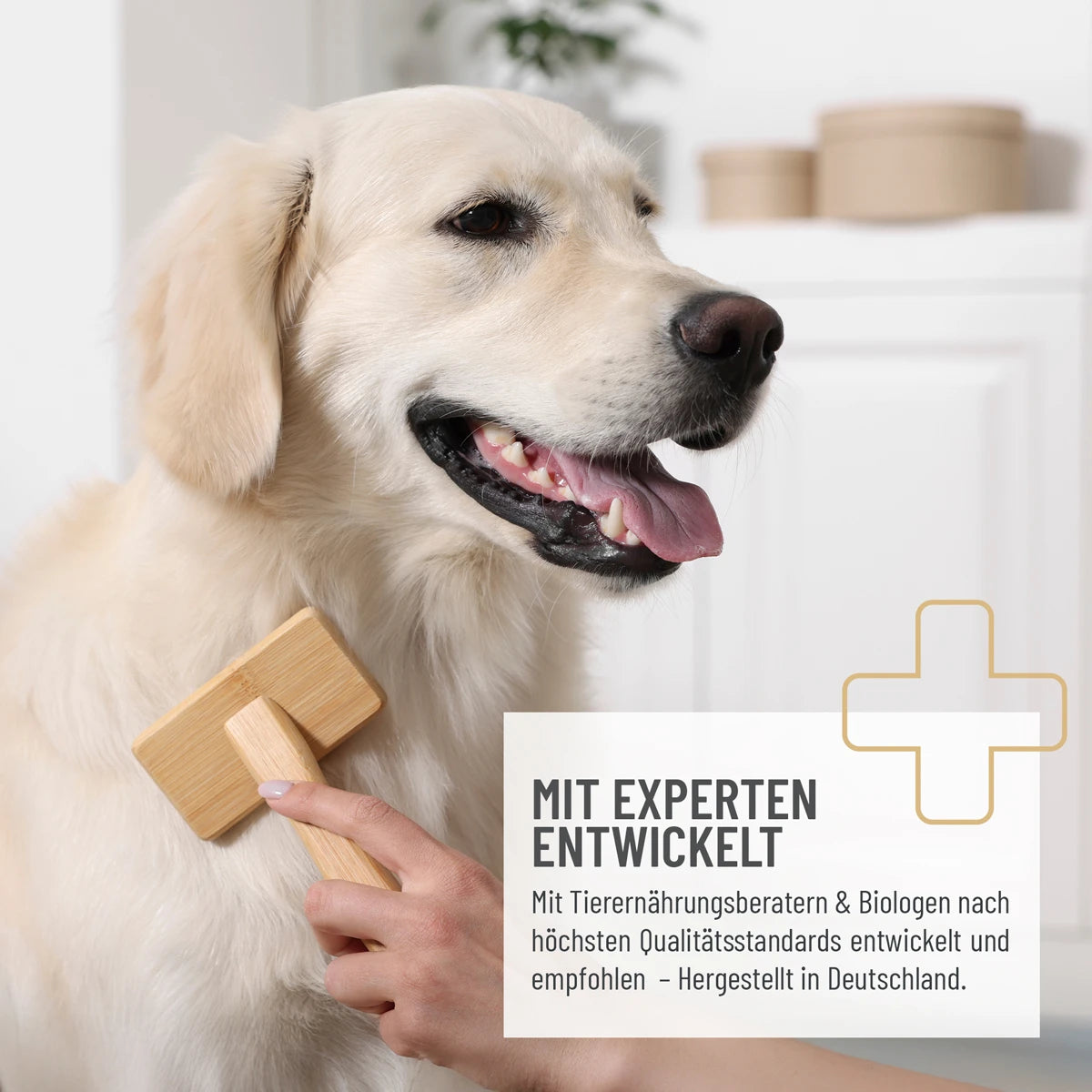 ReaVet-Fell-und-Haut-Tabletten-Forte-Mood
