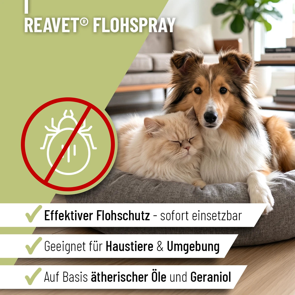 ReaVet-Flohspray-2