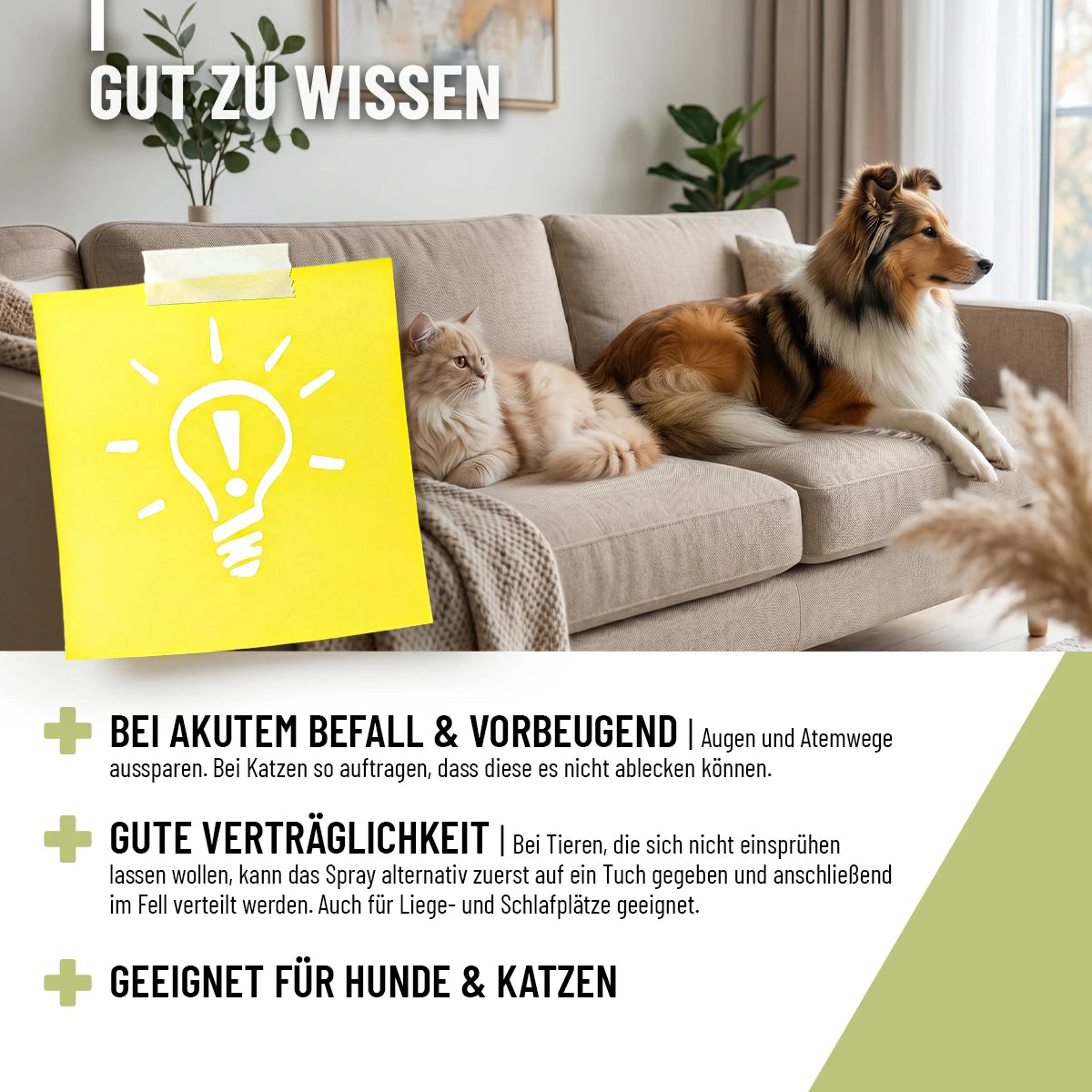 ReaVet-Flohspray-4