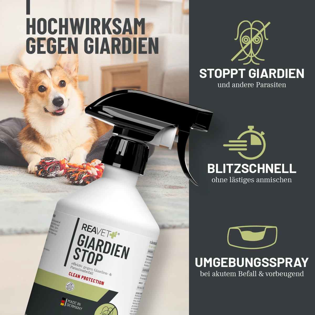 ReaVet-Giardien-Spray-500ml-2