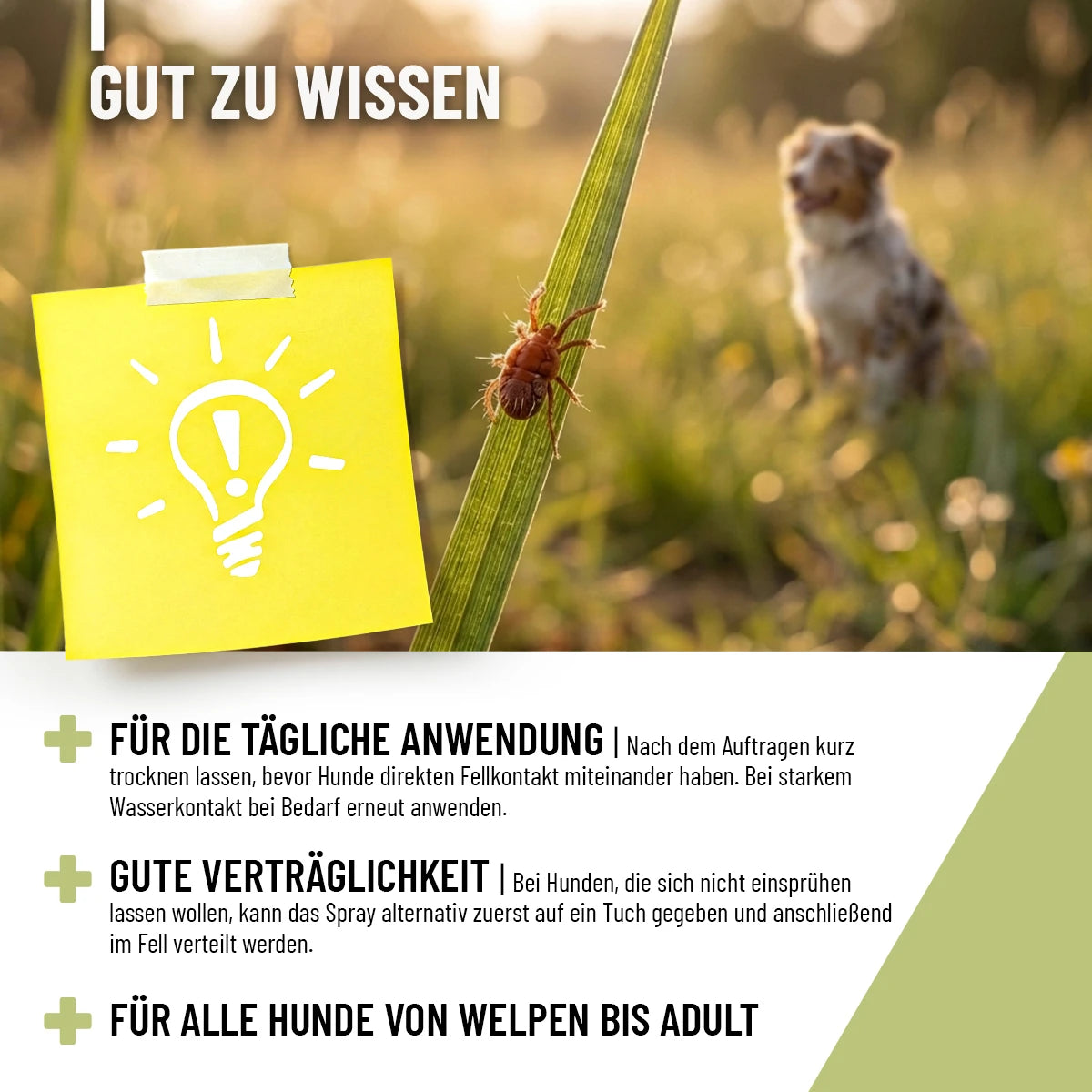 ReaVet-Grasmilben-Spray-5