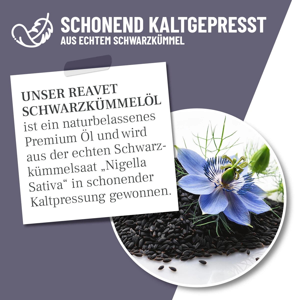 ReaVet-Schwarzkümmelöl-Info