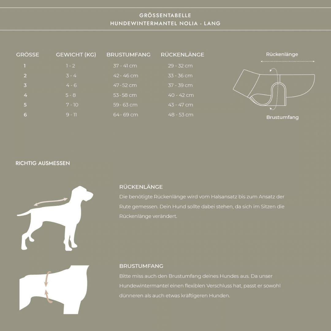 Size Chart Image