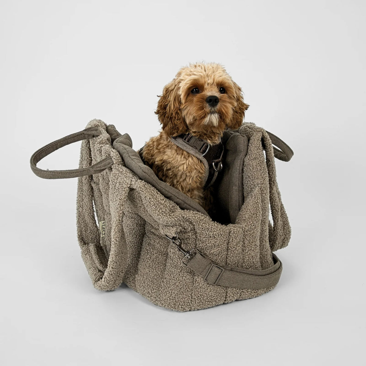 Staey-Hundetragetasche-Ella-Teddy-Taupe-Mood-2