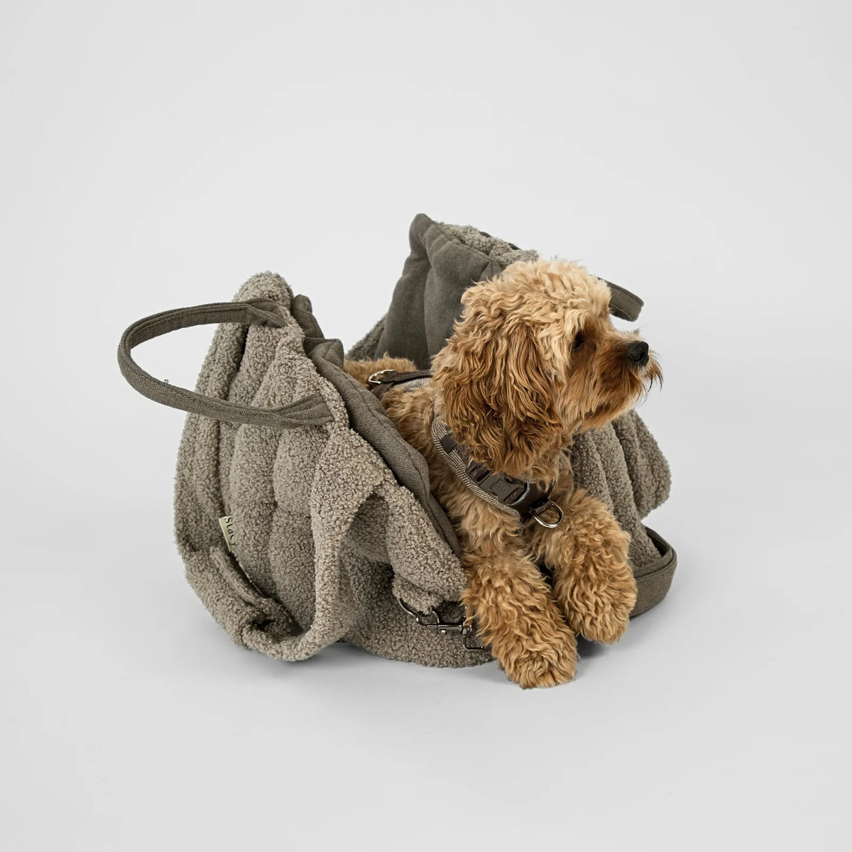 Staey-Hundetragetasche-Ella-Teddy-Taupe-Mood-3