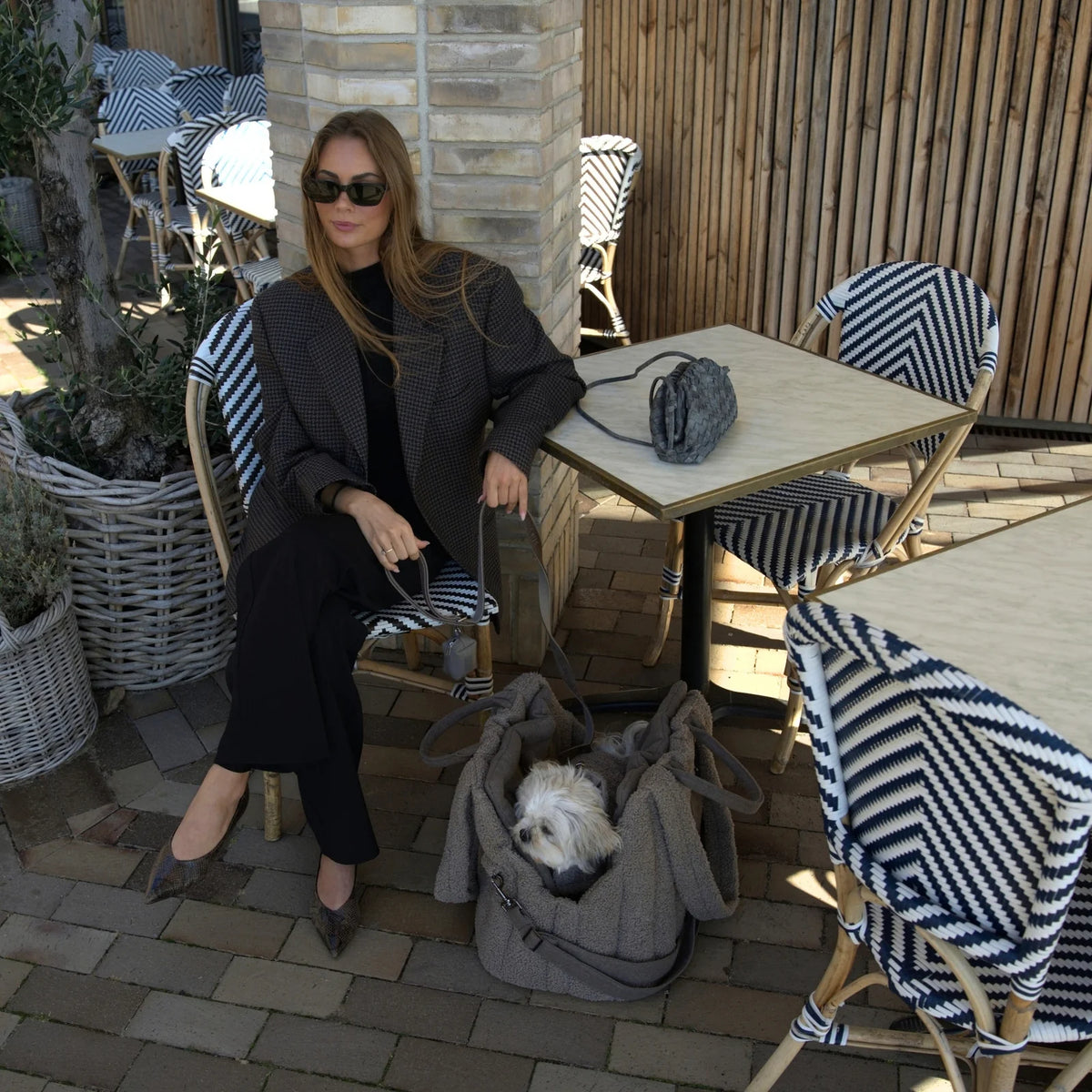 Staey-Hundetragetasche-Ella-Teddy-Taupe-Mood-6