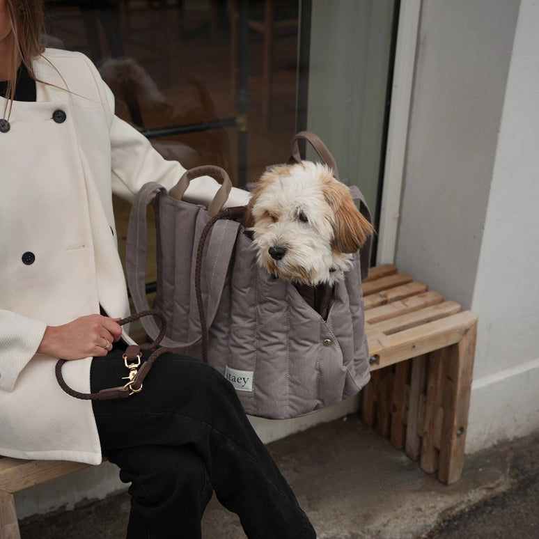 Staey-Hundetragetasche-Elva-Taupe-Mood8