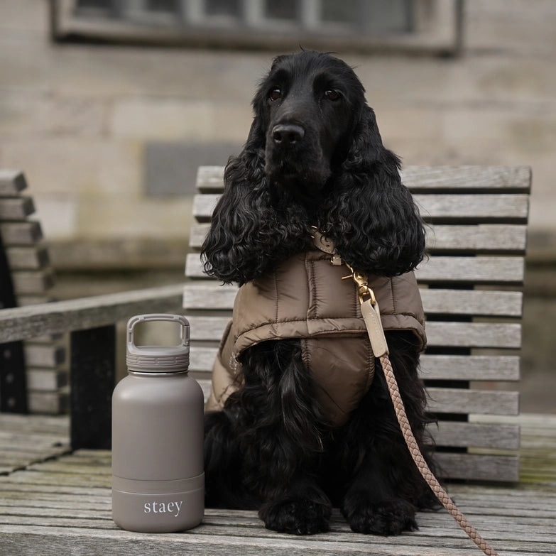 Staey-Hundetrinkflasche-Noona-2-in-1-Mood