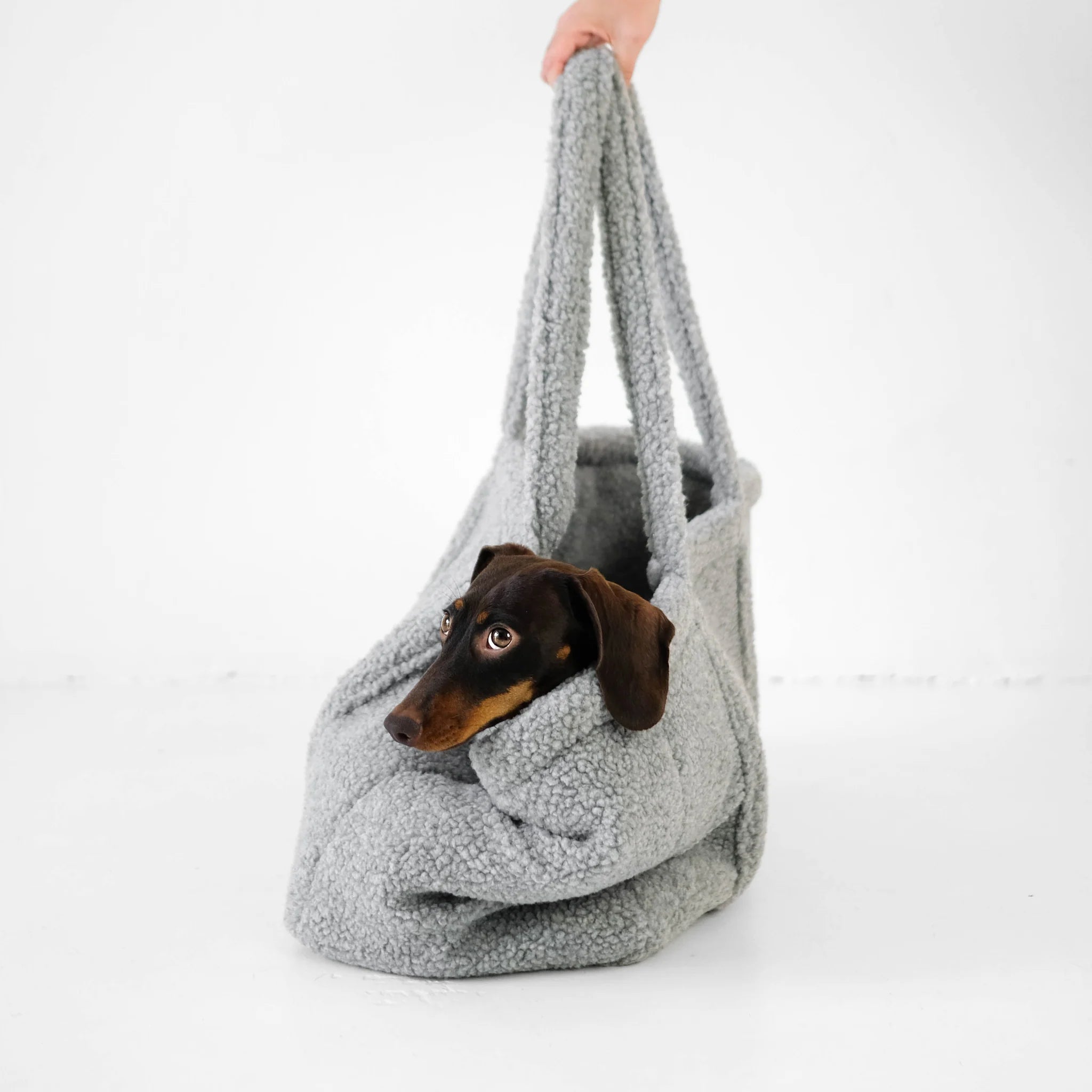 Karma-Hund-Hundetragetasche-Teddy-Shopper-Grey-Dackel2