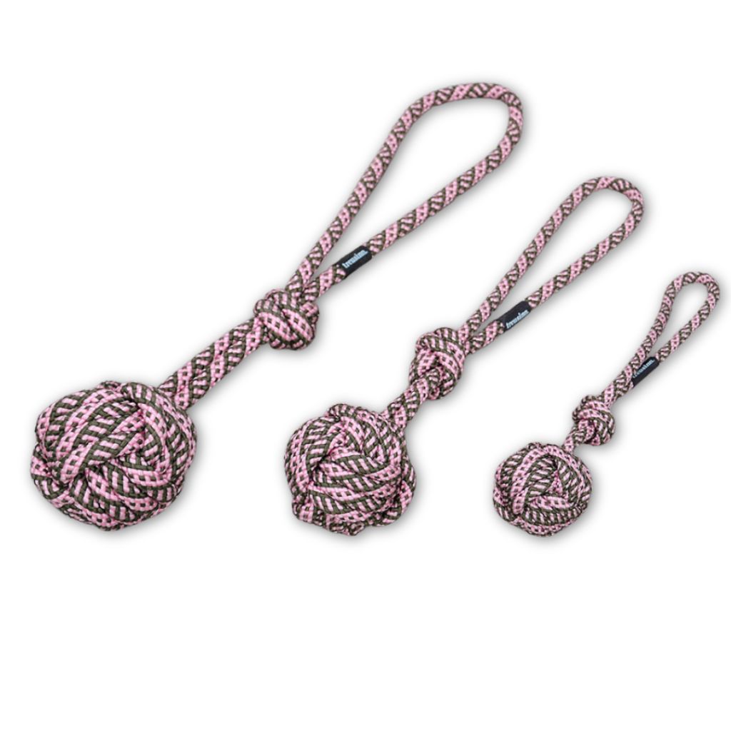 Treusinn-Hundespielzeug-Bolly-Blossom-1