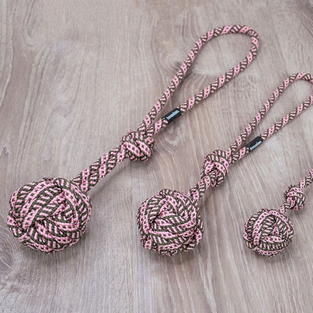 Treusinn-Hundespielzeug-Bolly-Blossom-2