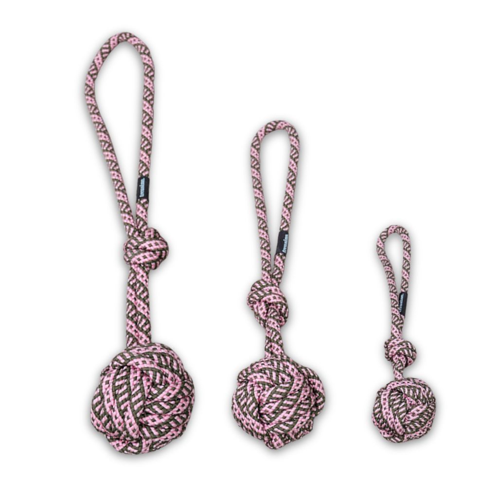 Treusinn-Hundespielzeug-Bolly-Blossom