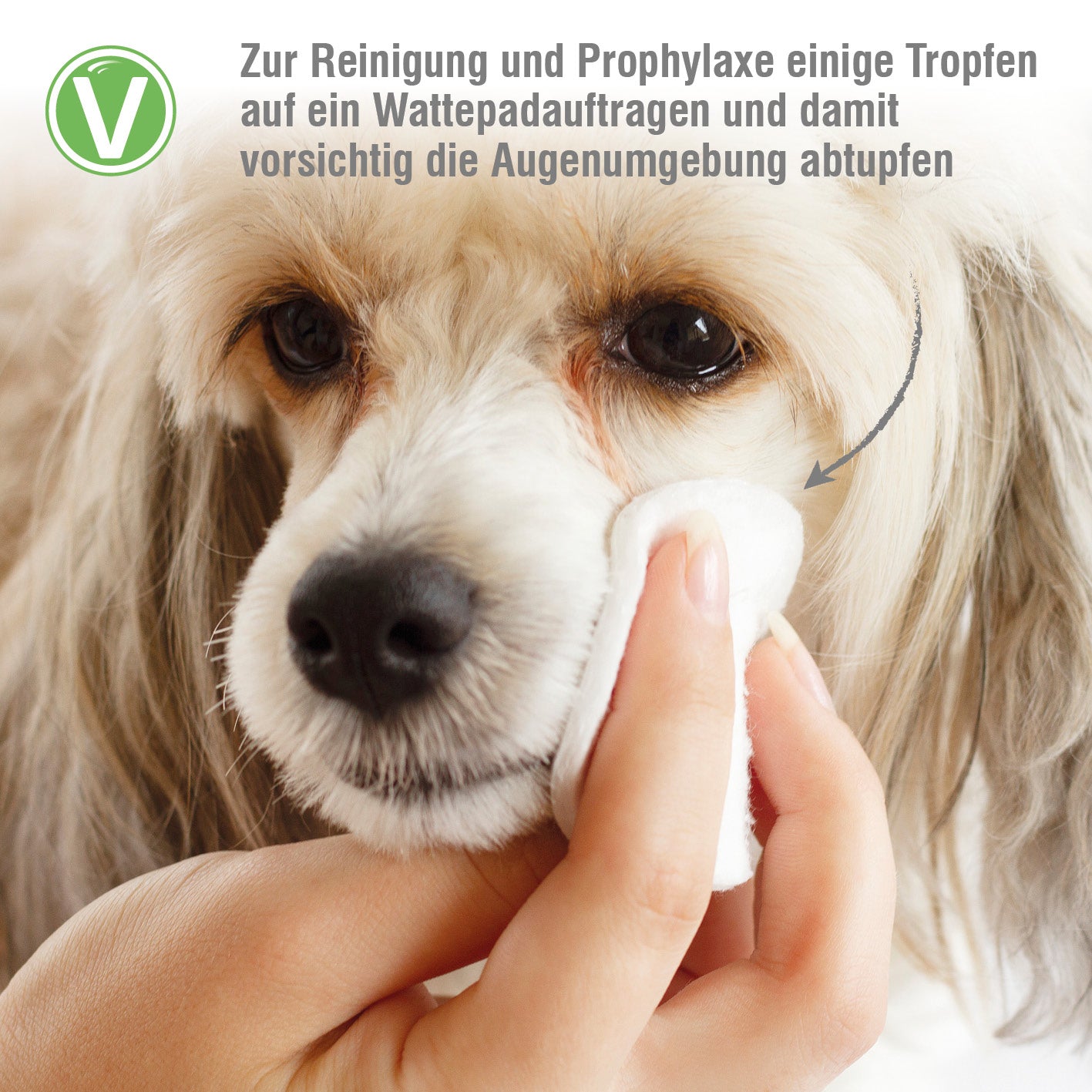 Vetlando-Augenpflege-4