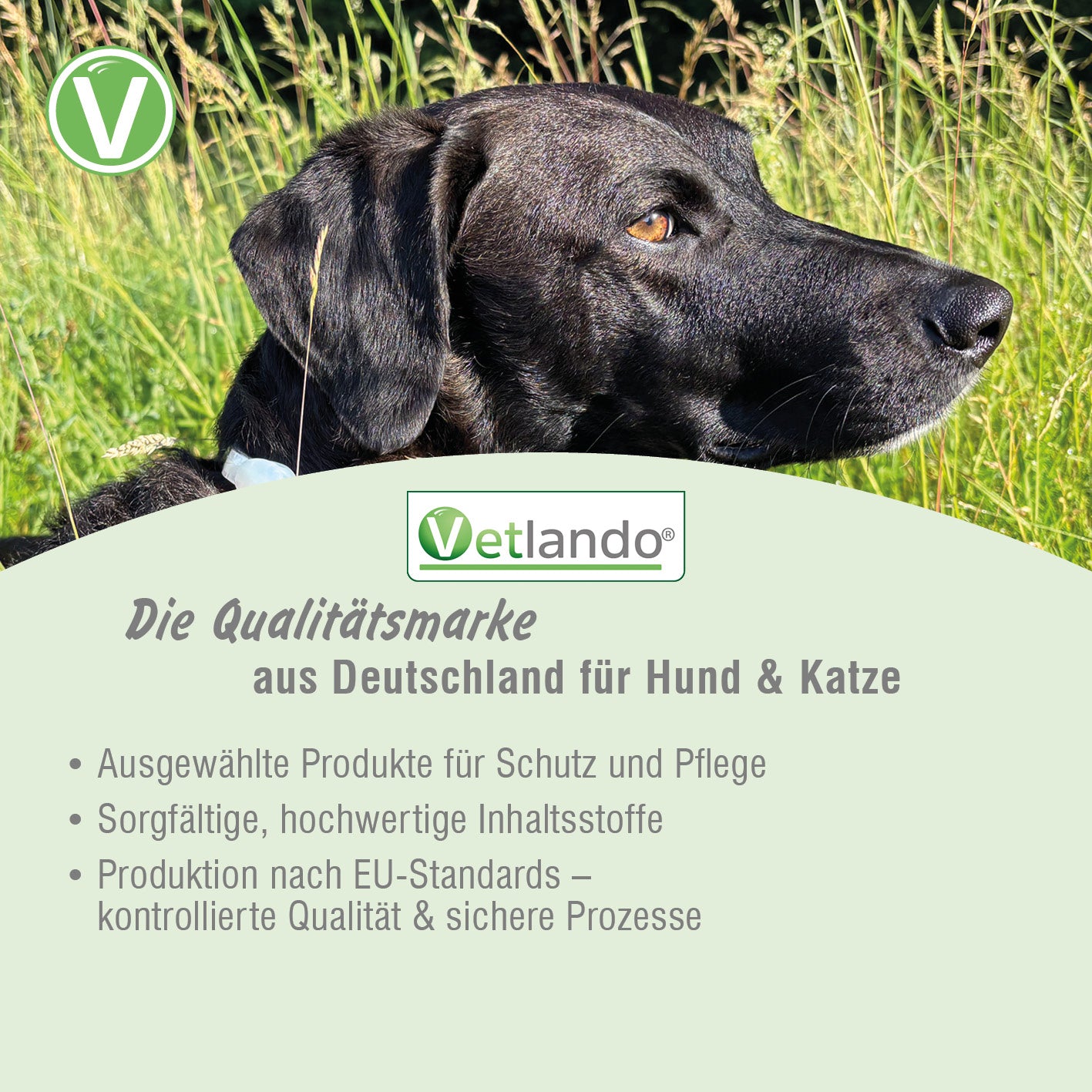 Vetlando-Citrolyptus-Zecken-Floh-Spot-On-Pipetten-Hunde-4