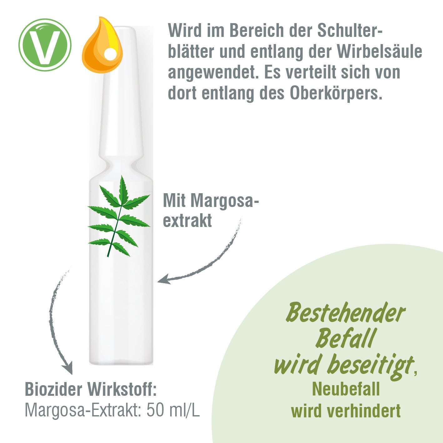 Vetlando-Citrolyptus-Zecken-Floh-Spot-On-Pipetten-Katzen-2