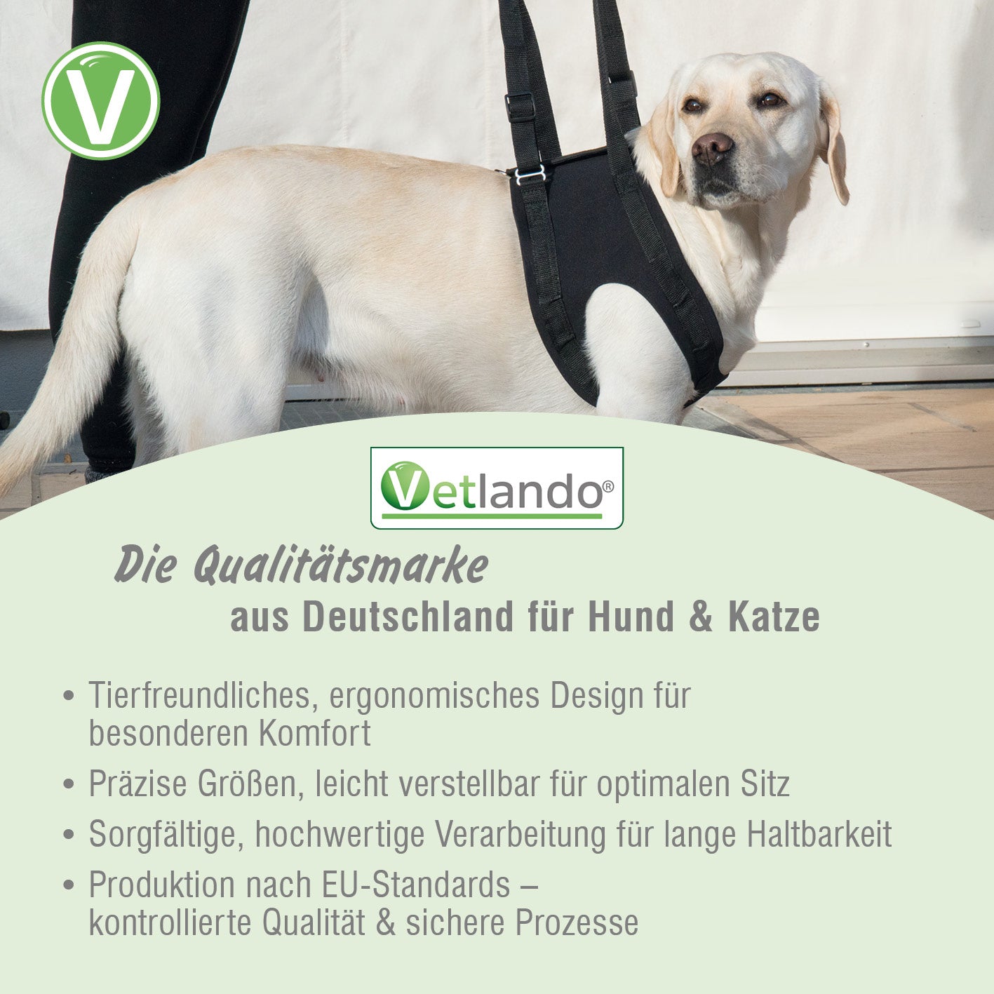 Vetlando-Gehhilfe-11